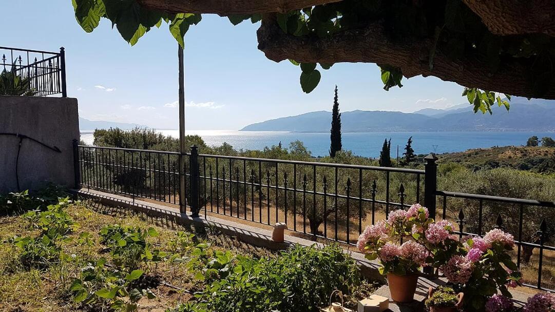 Villa Anna Nafpaktos Zewnętrze zdjęcie