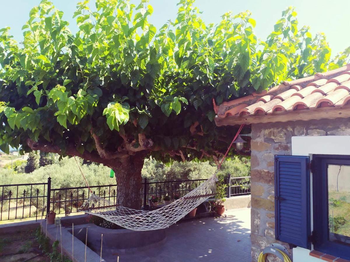 Villa Anna Nafpaktos Zewnętrze zdjęcie